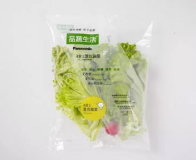 蘇州松下新植物工廠蔬菜正式出貨，科技農業開啟綠色新篇章