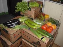 商丘與民權合資企業推出食品罐與酒罐包裝定制服務，拓寬紙罐應用新市場